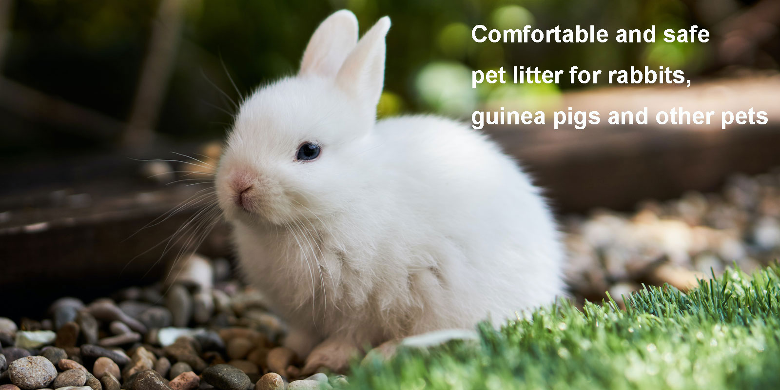 Extra soft pet litter that is comfortable for the paws of th